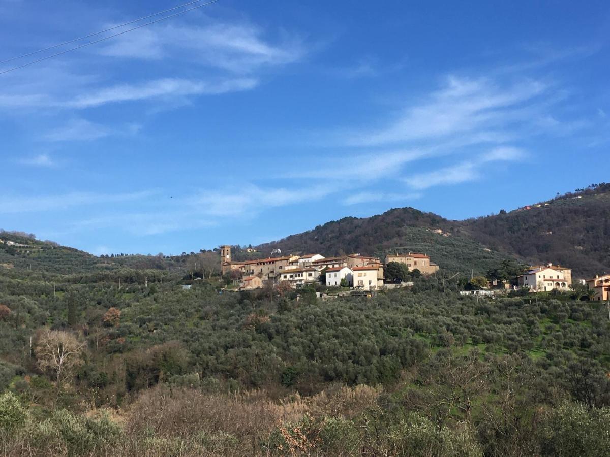 Agriturismo La Casina nel Vigneto Larciano Esterno foto
